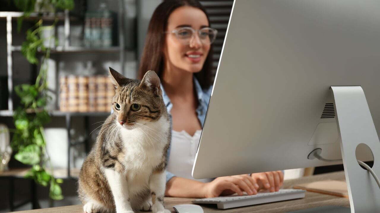 Adjointe virtuelle au travail